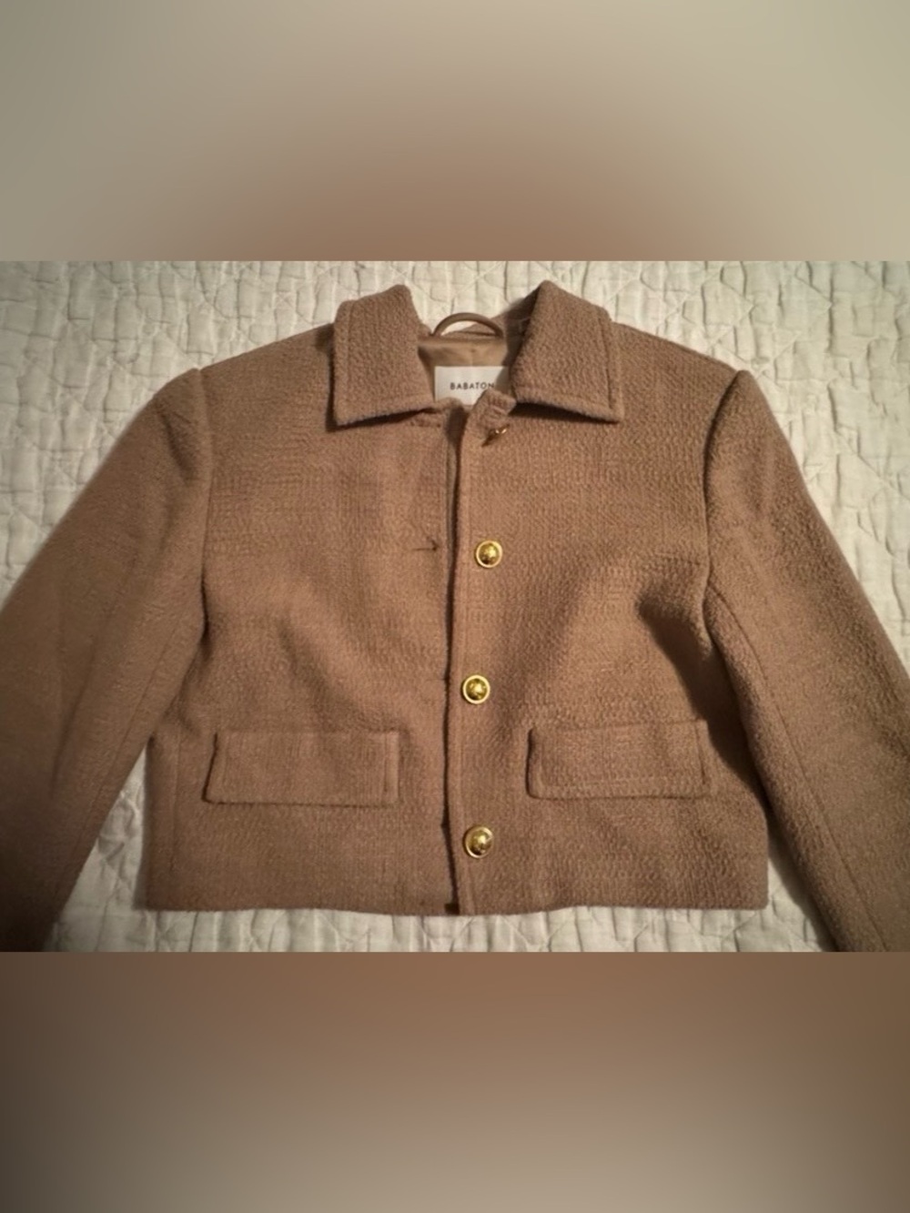 Aritzia Babaton Frances Jacket